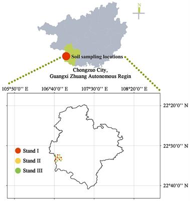 Mixed Eucalyptus plantations in subtropical China enhance phosphorus accumulation and transformation in soil aggregates